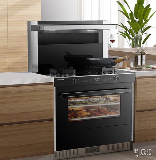 干貨分享 集成灶什么牌子好 廚房萌新必修課