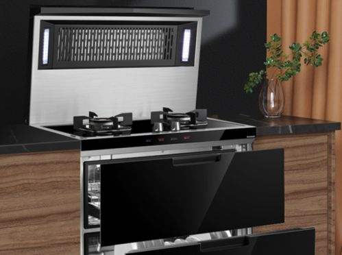 集成灶行業(yè)處于穩(wěn)定增長(zhǎng)趨勢(shì) 未來(lái)將進(jìn)一步走進(jìn)用戶家庭