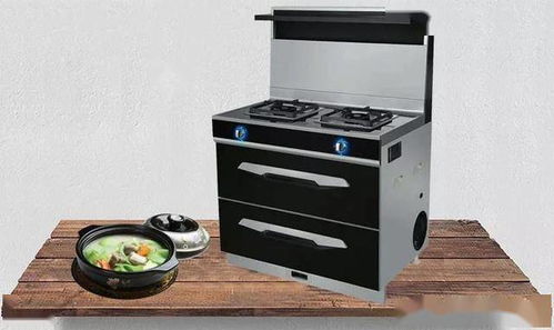 集成灶品類中 爆破性增長(zhǎng)的新成員