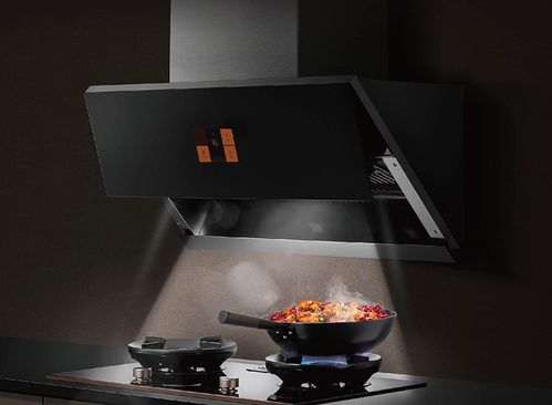 排名前十的集成灶有哪些 能讓你時刻享受家的味道