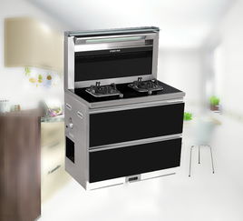 廚房智能新體驗 風(fēng)田集成灶與凈水機圖片欣賞